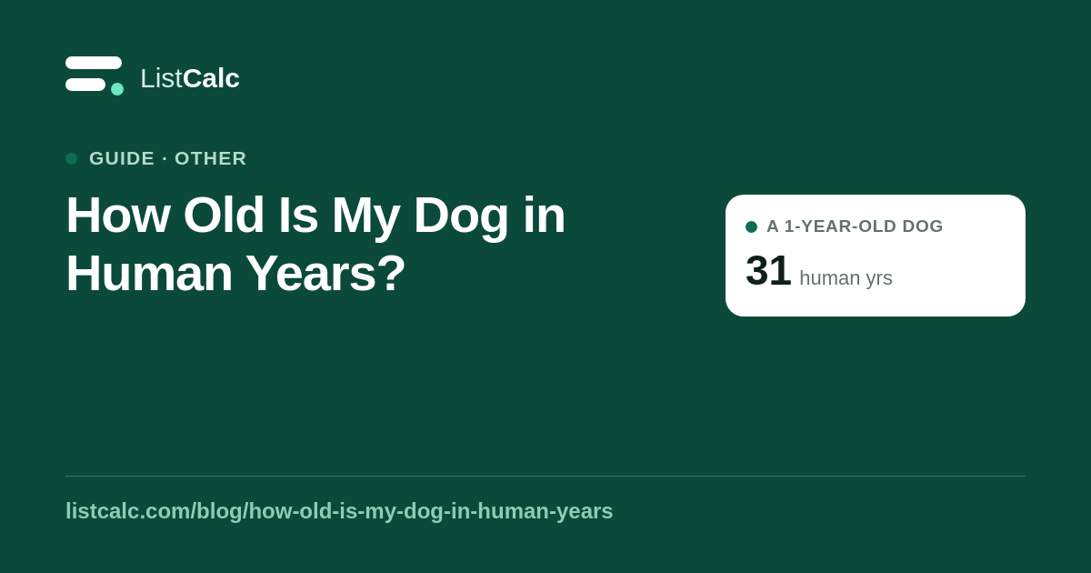 How Old Is My Dog in Human Years? — ListCalc